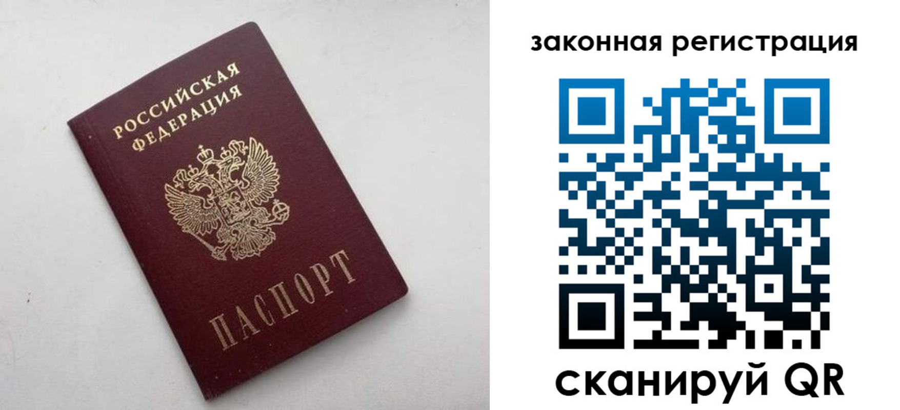 прописка 2025 в Ногинске